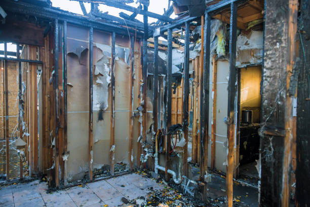 Professional Fire Damage Removal technician working in Bokeelia, FL