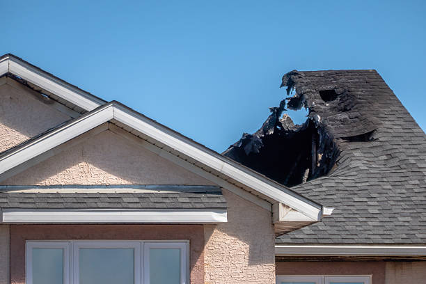 Top rated local Fire Damage Removal specialists in Bokeelia, FL